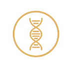 DNA